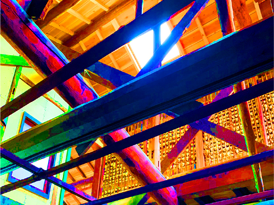 デジトーマ イメージ画像